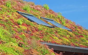 Checkley Green living roof systems