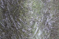 Checkley Green fibreglass roof work